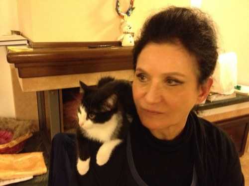 alegresarfaty's profile picture. 