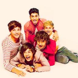 I AM A DIRECTIONER!!!!!!