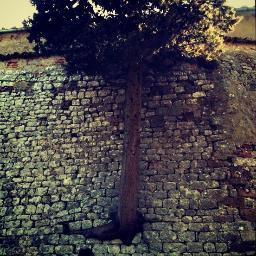 poesieitalienne's profile picture. atelier de traduction de poésie italienne contemporaine
(groupe de recherche CIRCE, Paris III)
http://t.co/vMdaAlABxG