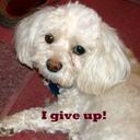 Ann Nason - @annnason - Twitter