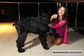 my sweet angel @zendaya96 my sweetie dog @realmidnightcol
