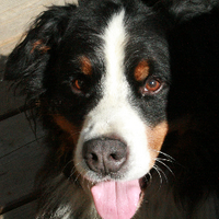 Nadine Thiry (@nadinethiry) Twitter profile photo