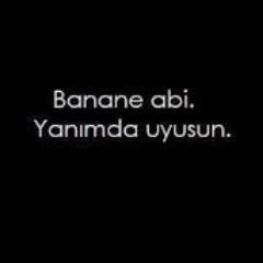 ssvdmğim renkler kırmızı ve sarı tuttuğum takım GS 13 yşndym türkçe şarkı svmem. hoşuma gdrse dnlrm. yabancı dil dnlerim genellikle.en svdğm grub one direction.