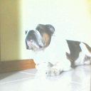 Juan manuel trillo - @juanma_trillo - Twitter