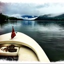 Travis Gray - @travisogray - Twitter