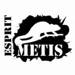 espritmetis's profile picture. Esprit Metis, association loi 1901 : développer & promouvoir la compréhension, le métissage social & contribuer à un dialogue entre les cultures.