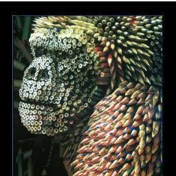 LPlateado's profile picture. 
