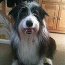 nikki stuart - @nikkistuart88 - Twitter