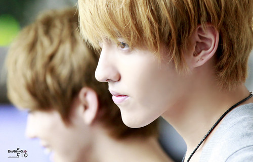 yongroo_kris's profile picture. Annyeong, Kriseu Lover here ;)