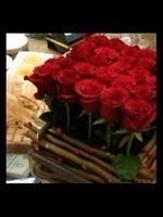tot456tot456tot's profile picture. أنا إنسانه بسيطه أعشق الحياة وأحب الفرفشه والضحك وأكره الرسمياتفلسفتي في الحياة ..تفائلوا بالخير تجدوه ...