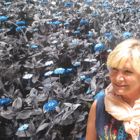 Sylviane Zehil (@sylze) 's Twitter Profile Photo Sylviane Zehil (@sylze) 's Twitter Profile Photo