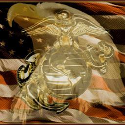 LWBmarinemom's profile picture. Love God, Country and our Great President, Donald Trump #MAGA