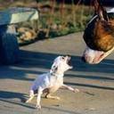 Howard Matlock - @HowardMatlock - Twitter