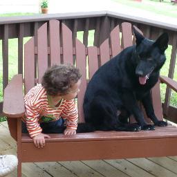 PLEASE HELP, $5000 reward! Beloved family dog, an adult male black German shepherd, reddish eyes from allergies, was kidnapped from West Paterson, NJ, 10/18/12.