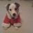 BaileyRowles1's profile image