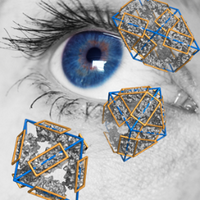 Justin Benesch (@beneschresearch) 's Twitter Profile
