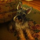 Michelle Deters - @mdeters564 - Twitter