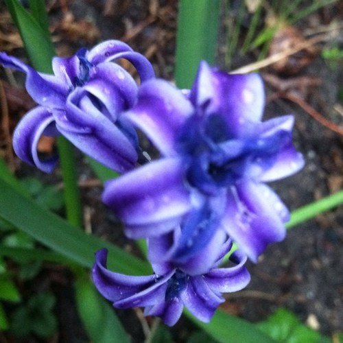 mrsbethleik's profile picture. 