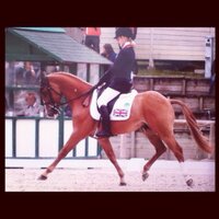 Yasmin Ingham (@yasminingham) 's Twitter Profile