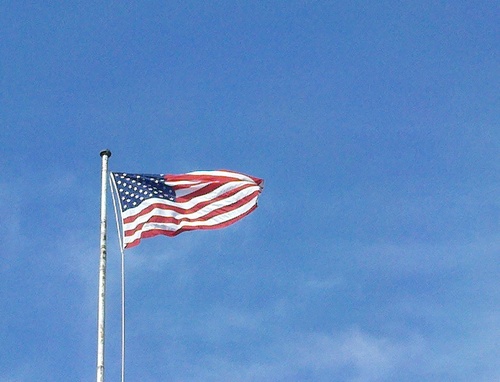 TDiFrancoRBA's profile picture. 