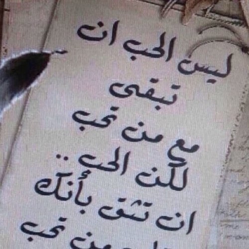 borgelaf's profile picture. 