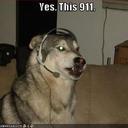 Sherri Hurst - @slh197 - Twitter