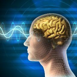Neurotherapist recovering children on the spectrum and others with chronic illnesses.