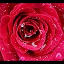 0594981882 (@0594981882) Twitter