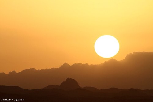 zms6677's profile picture. 