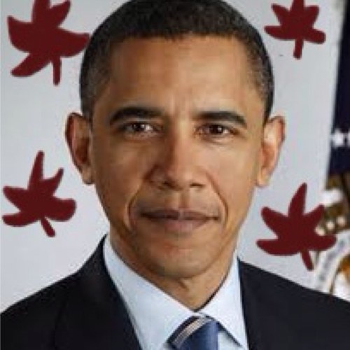 Seaholm High School debate supports Barack Obama in the 2012 election! Like us on Facebook and Instagram!