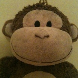 paddymgreen's profile picture. 