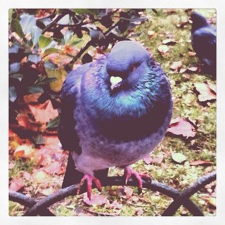 unmec_etrange's profile picture. Coucou! T'es sur le Twitter d'un mec... plutot etrange! Follow moi on s'amuse bien :)
PS: Ma photo de profil est de moi :)