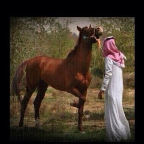 يامن تدور في الحياه السلامه... الـعـمـر مـره واللـيالـي مغانيـم...