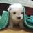 Cute_Emergency's profile image