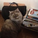 Luz stella González - @l_lgonzalez - Twitter