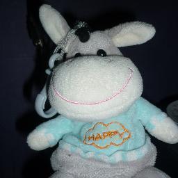 BuditoBSC's profile picture. Kevin & Ginger