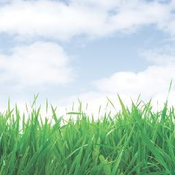 Forage and turf seed company in Latvia. Great seed - green grass! Viens no vadošajiem lopbarības un mauriņu zālāju sēklu uzņēmumiem Latvijā.