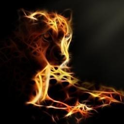 JesusQui1's profile picture. 