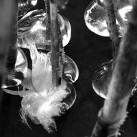 Hilde van Wilsum (@hildevanwilsum) 's Twitter Profile