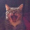 Jeff Sessions - @jeffreyboyardee - Twitter