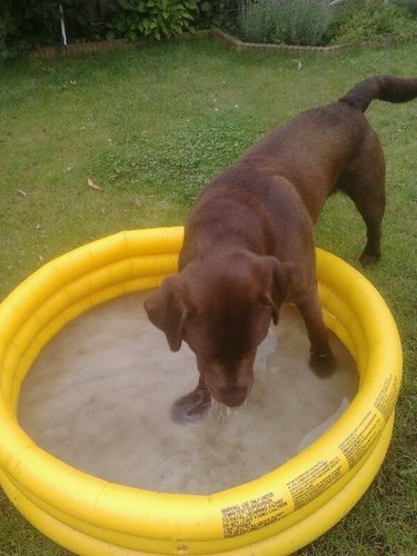 jordyvoetballer's profile picture. 