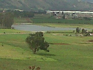 LTilaguy's profile picture. 