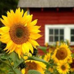 KarenTerry05's profile picture. 