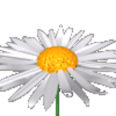 Scientologyyou's profile picture. Information about the criminal #cult Church of #Scientology #Ifollowback #Teamfollowback