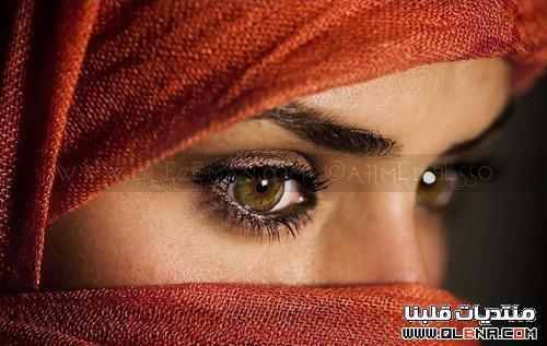 اتمنى ان اجد من يستحقني....ليس غرور ولكنني اثق بنفسي..واتمنى ان اكون زهرة فواحه بيدك حبيبي