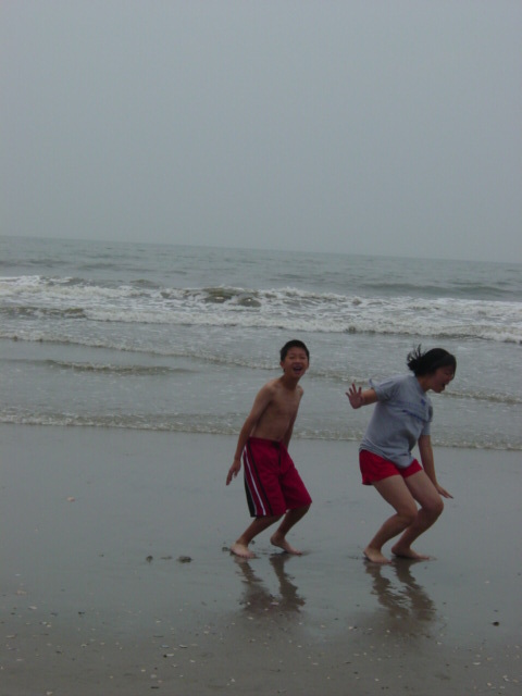 denisexu's profile picture. Procrastinator by day, med student by night. Excellent at acquiring books; mildly proficient in actually reading them.