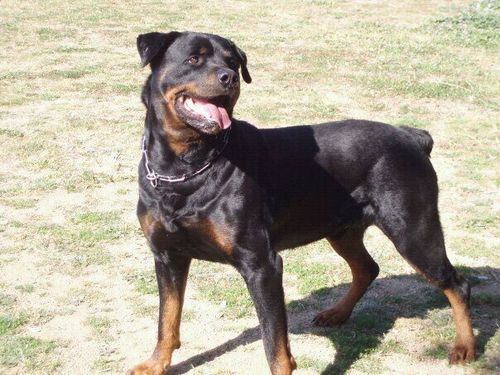 Fer_min1's profile picture. 