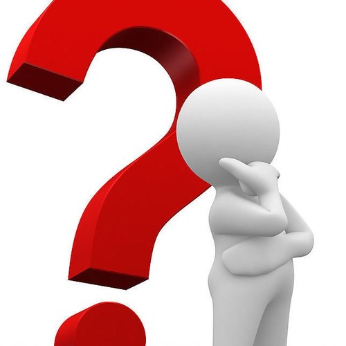 pobregacela's profile picture. 