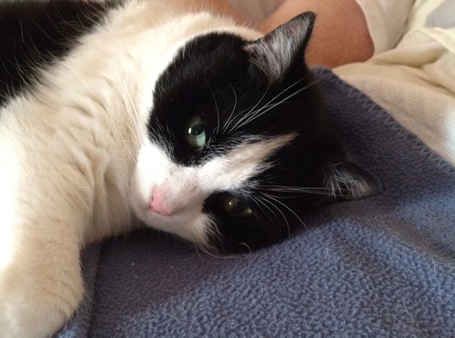 nancy1tm3's profile picture. 