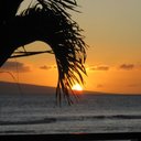 Chanel#5 - @WendyFine1 - Twitter